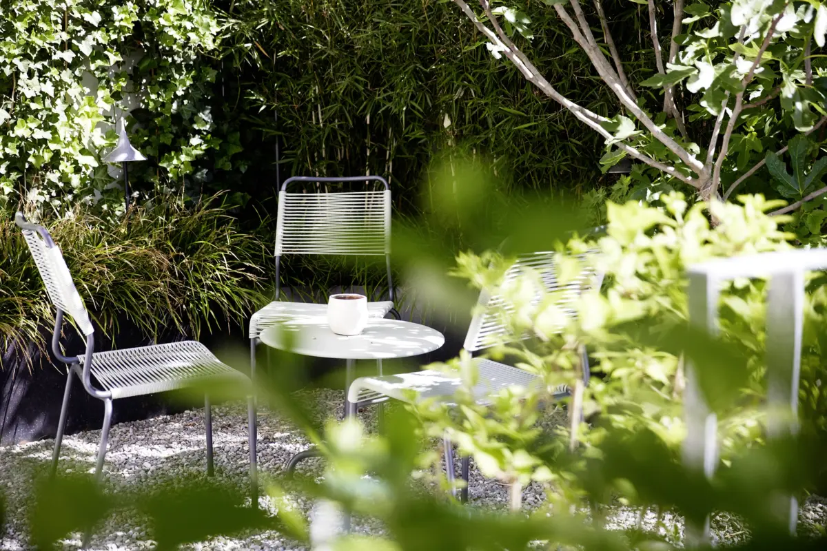 Geschützter Sitzplatz im Garten mit weißen Gartenstühlen aus Schnurgeflecht zwischen Bambus und Efeu, Loft in Bregenz von Gahleitner Architekten Titel: