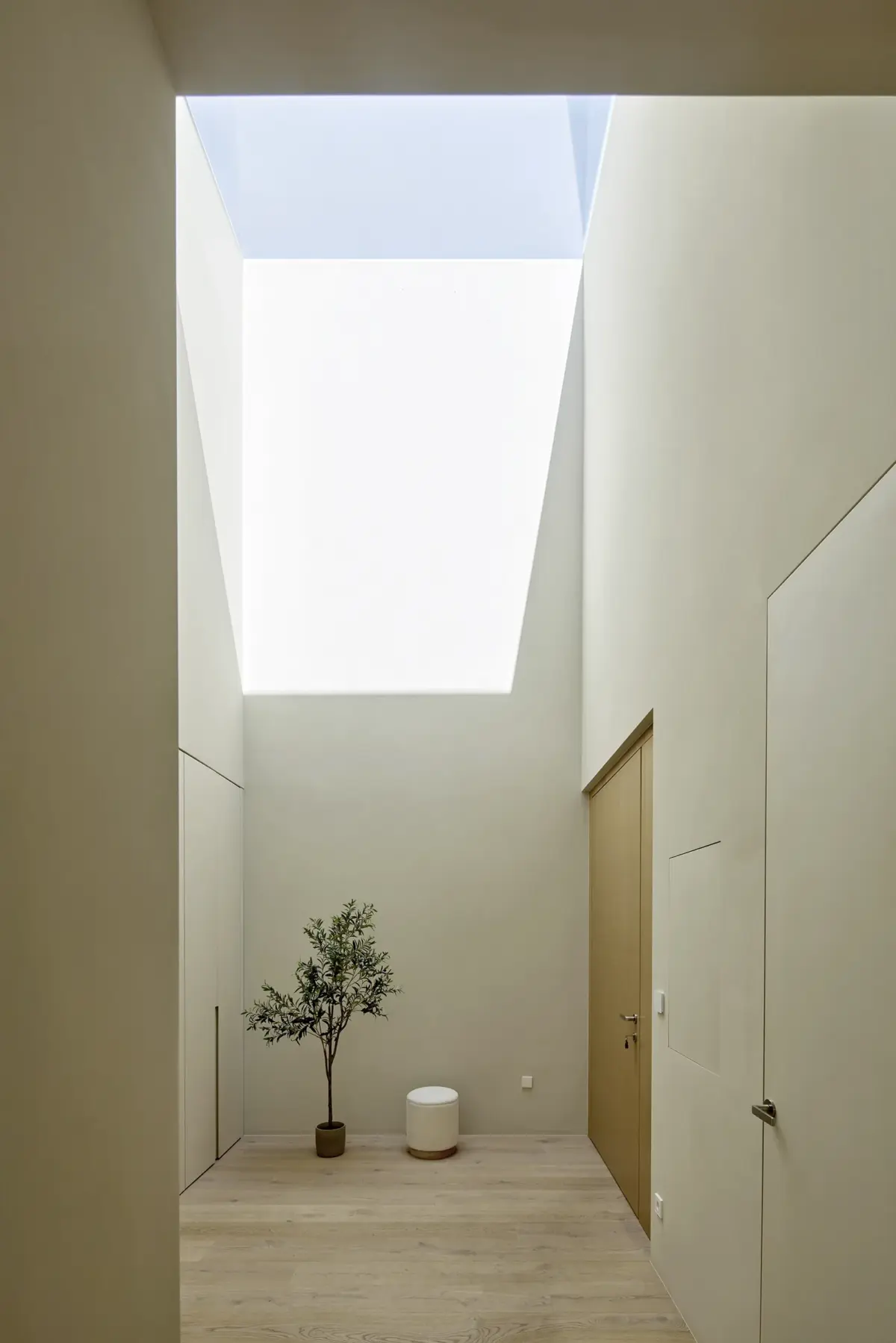 Hoher Flur mit Oberlicht, Olivenbäumchen und Eichentür in einer Villa in Bregenz, Gahleitner Architekten, Interieurfotografie Roland Wimmer